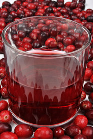 Juicer For Juicing Cranberries
